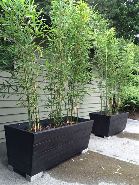 bamboo steel planter box|large garden containers for bamboo.